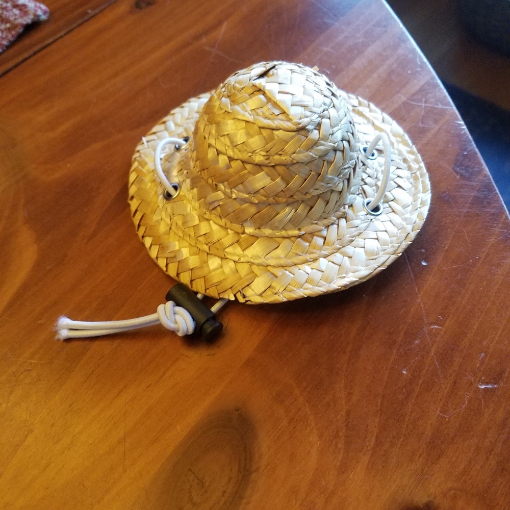 NWOT Dog Costume - Straw Hat